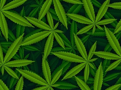 Costa Rican Government Approved New Hemp (CBD) & Medicinal Cannabis Regulation in Costa Rica